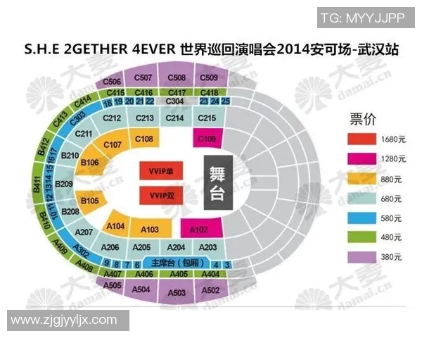体育实时数据武汉排球队的奋斗历程与奥运梦想的追逐之路